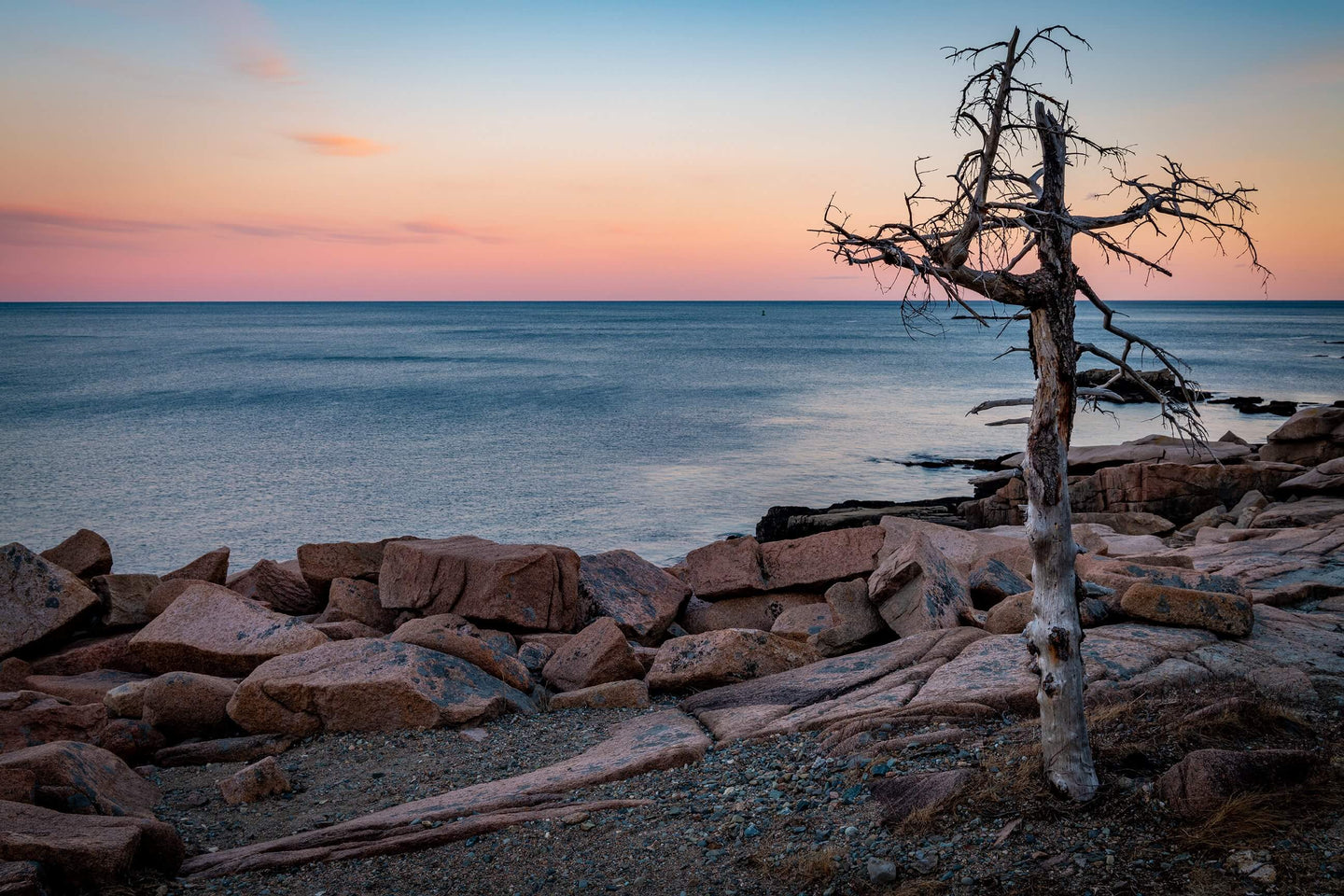 Acadia National Park - Framed Photo