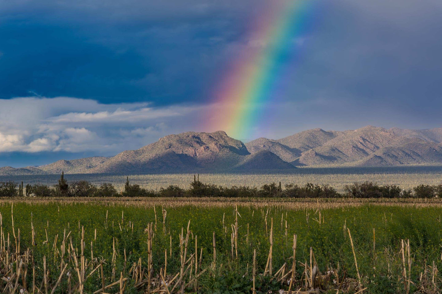 Rainbow over Marana, Arizona - Framed Photo