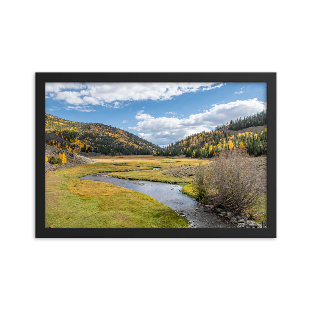 Zedds Meadow in Utah - Framed Photo