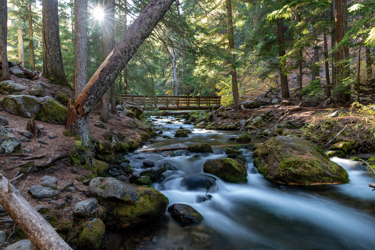 Cold Spring Creek at Mount Hood, Oregon